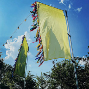 Flags copy